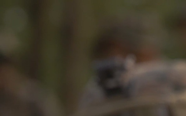 U.S. Navy Marine Birthday Hype Reel