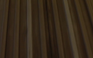 Patrols around the National Mall and White House Ellipse