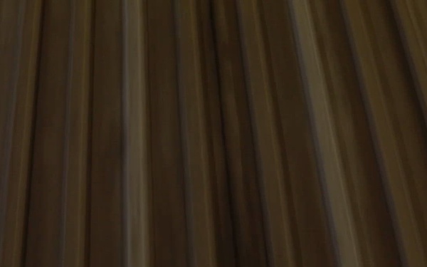 Patrols around the National Mall and White House Ellipse