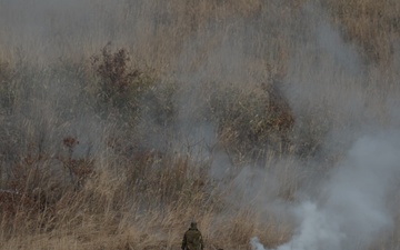 Yokota participates JGSDF multinational airborne exercise