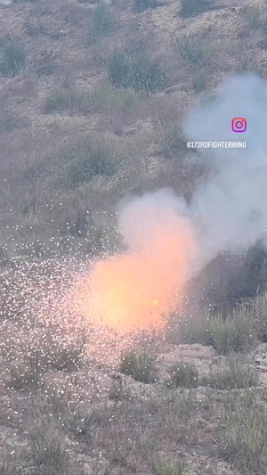 Annual Firefighting Training