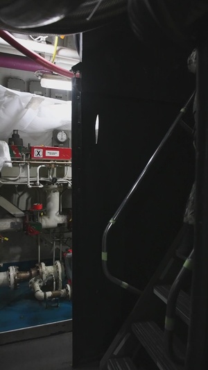 USS Ronald Reagan's New Sailor Saturday: LSSN Lex