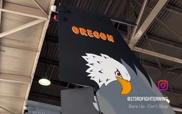 Full Color F-15 Tail