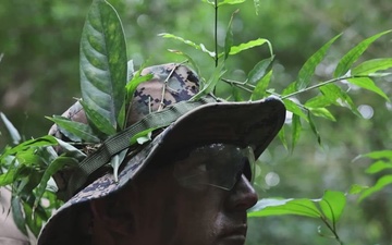 4th Light Armored Reconnaissance PEX