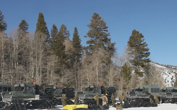 MTX 1-26 | Combat Logistics Battalion 24 Establish Field Lodging