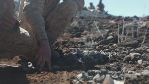 3rd LCT executes dry and live-fire squad attacks at PTA B-Roll