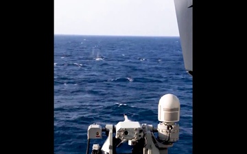 Frank E. Petersen Jr. conducts live-fire exercise