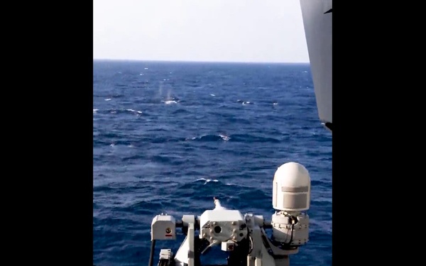 Frank E. Petersen Jr. conducts live-fire exercise