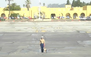 MCRD San Diego Fox Company Graduation