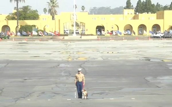 MCRD San Diego Fox Company Graduation