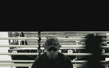 The Science of Violence