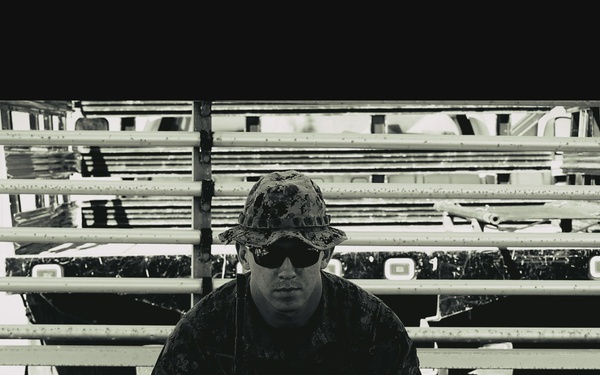 The Science of Violence