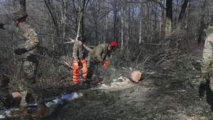 Winter Storm Fern Route Clearance in White County, Georgia (B-Roll)