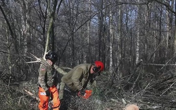 Winter Storm Fern Route Clearance in White County, Georgia (B-Roll)