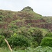 Joint Base Pearl Harbor-Hickam Commander visits MA'O Organic Farms for REPI Program