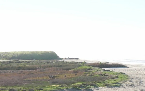 Task Force Ashland Marines, Sailors Conduct CERTEX