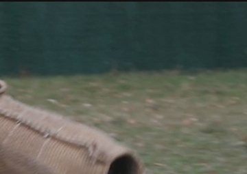 18th Military Police Military Working Dogs in Action