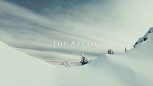 The Arctic