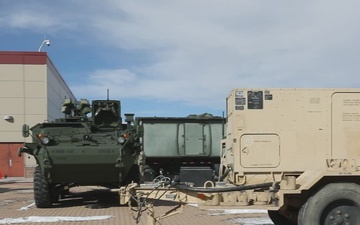 Ivy Sting 4 MTC B-Roll