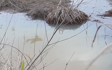 Multi-National Airborne Exercise 26 Airborne Jump