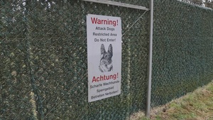 18th Military Police Brigade Military Working Dog Training