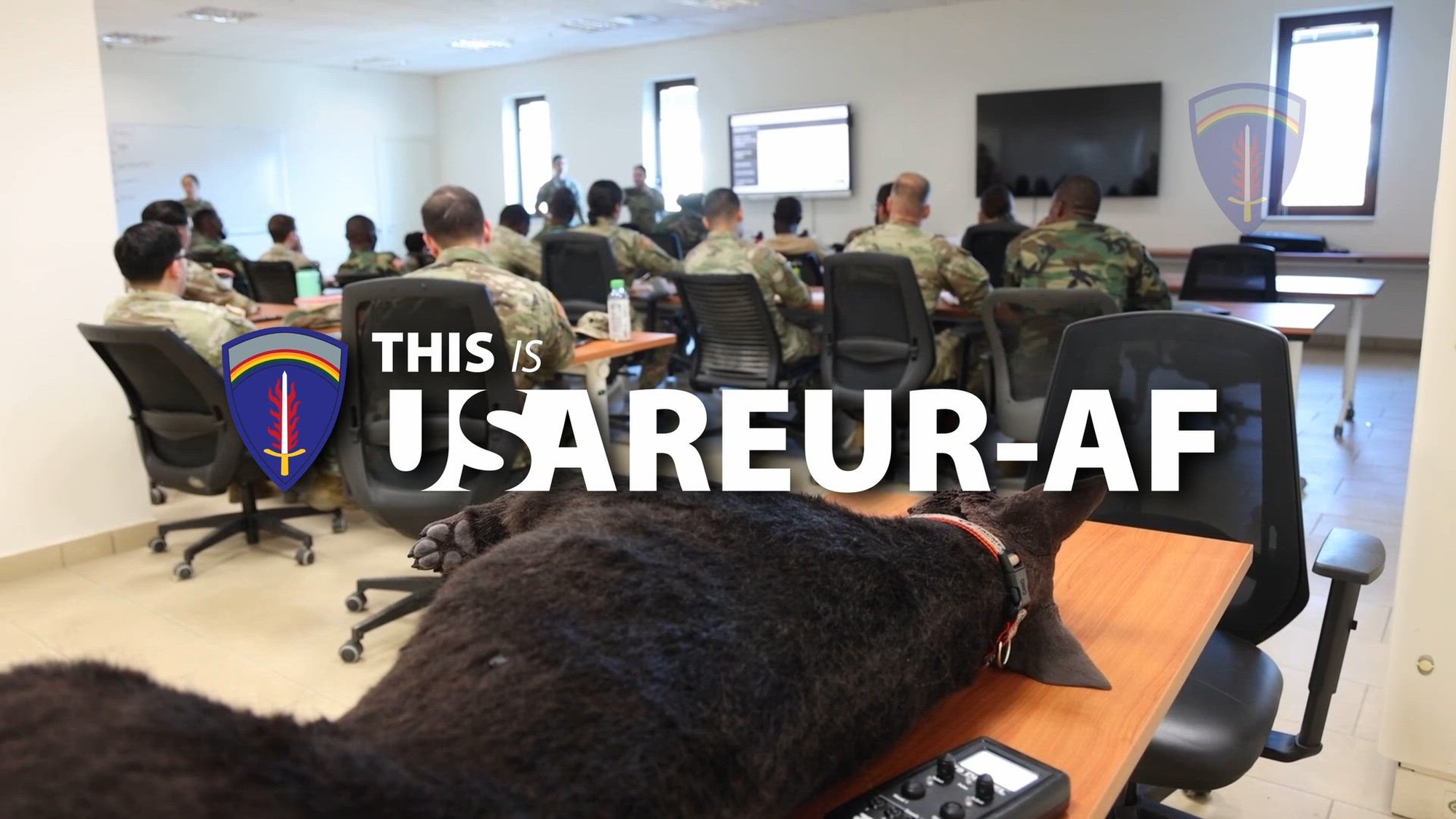 This is USAREUR-AF is a monthly series that highlights the efforts in the area of operations. This episode highlights the SETAF-AF Best Medic Competition train up, 1st Cavalry Division training, and 41st Field Artillery Brigade HIMARS training. (U.S. Army video by Army Staff Sgt. James Quaile and narration by Army Cpt. Sarah Poole)