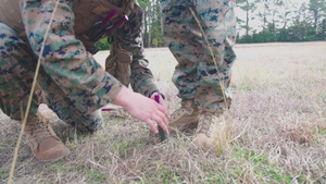 24th MEU MAGTAF-Next: CLB-8 and VMM-365 ADGR