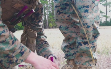 24th MEU MAGTAF-Next: CLB-8 and VMM-365 ADGR