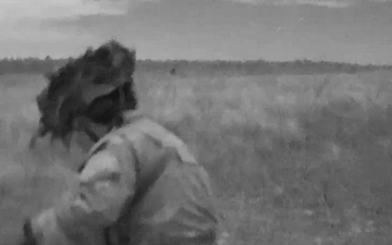 Panther Avalanche - Night Jump