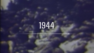 2nd Marine Division 85th Birthday