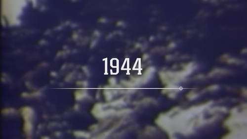 2nd Marine Division 85th Birthday