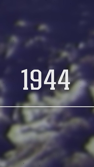 2nd Marine Division 85th Birthday