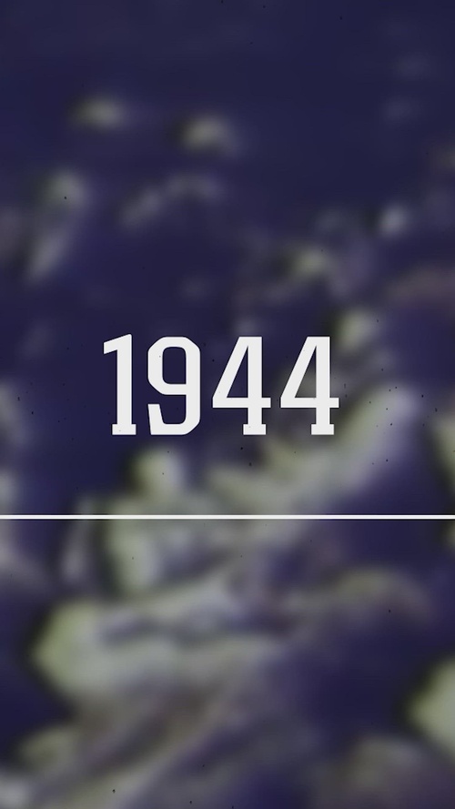 2nd Marine Division 85th Birthday