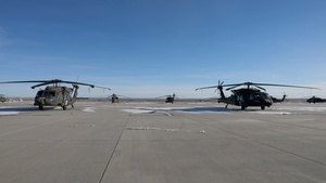 Ivy Sting 4: Apache Training