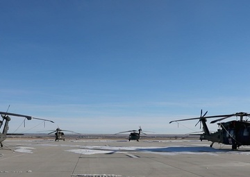 Ivy Sting 4: Apache Training