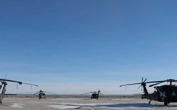 Ivy Sting 4: Apache Training