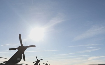 Ivy Sting 4 4th Combat Aviation Brigade AH-64 Apache