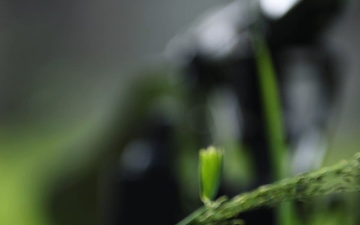 Lightning Surge: 25th ID Evaluates Next Generation Command and Control