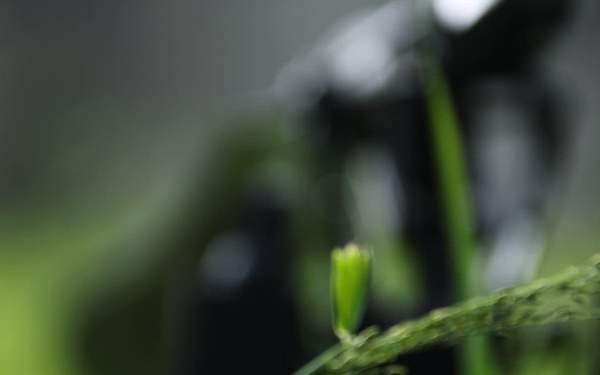 Lightning Surge: 25th ID Evaluates Next Generation Command and Control