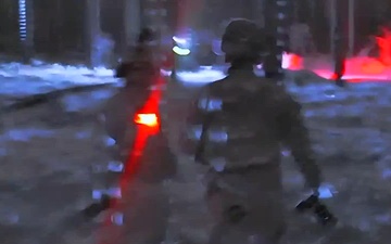 Panther Avalanche Sionyx Footage