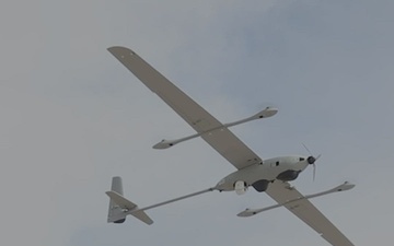 Ivy Sting 4 Hype Reel