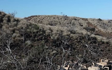 3rd LCT executes live-fire platoon attacks at PTA B-Roll