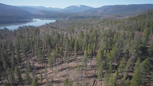 Lassen National Forest Drone B-Roll