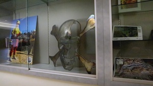 Final Drill: Washington National Guard Engineers Mark Unit Deactivation