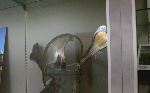 Final Drill: Washington National Guard Engineers Mark Unit Deactivation