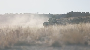 Ivy Sting 4 3rd Armored Brigade Combat Team