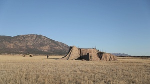 Ivy Sting 4 Nodes Displacement