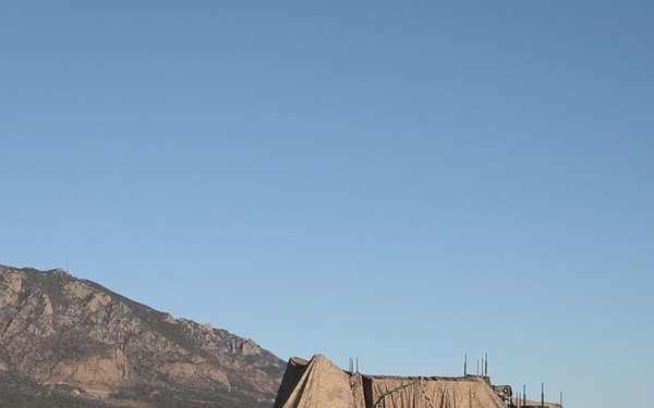 Ivy Sting 4 Nodes Displacement