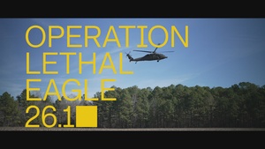 Air Assault for OLE 26.1