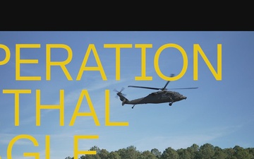 Air Assault for OLE 26.1